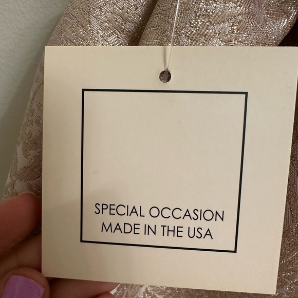 Sweet Kids Inc Jacquard Metallic Dress NWT - Picture 6 of 7